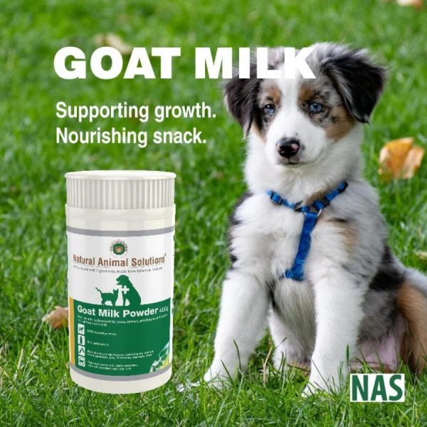 Puppy milk replacer goats milk shop